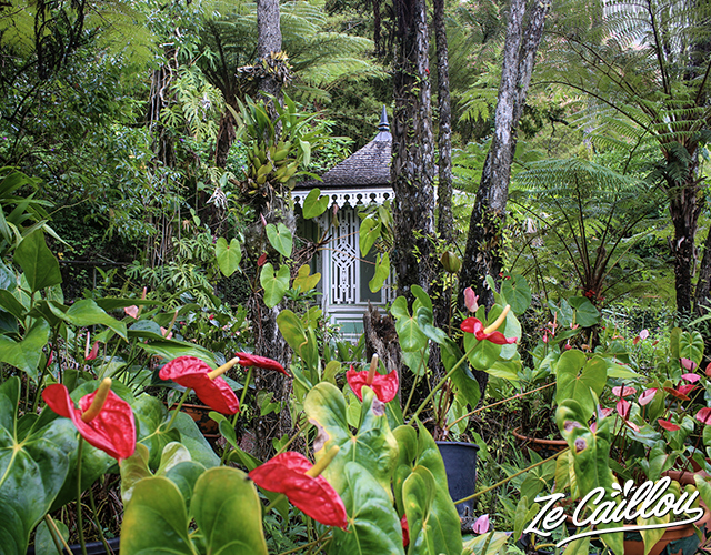 Jolie kioske caché dans la végétation à la maison folio.