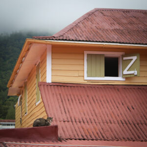 Case créole et chat à Salazie.