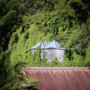 Petite case créole dans la végétation à Salazie.
