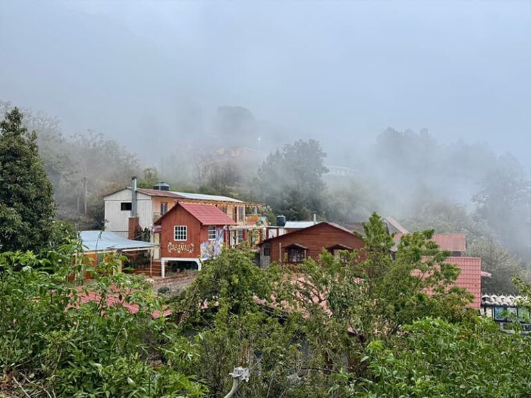 Escapade en montagne à San Jose del pacifico au Mexique.