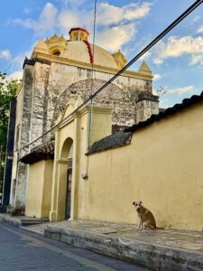 A peaceful dog in front of a church in San Cristóbal de las Casas, Mexico