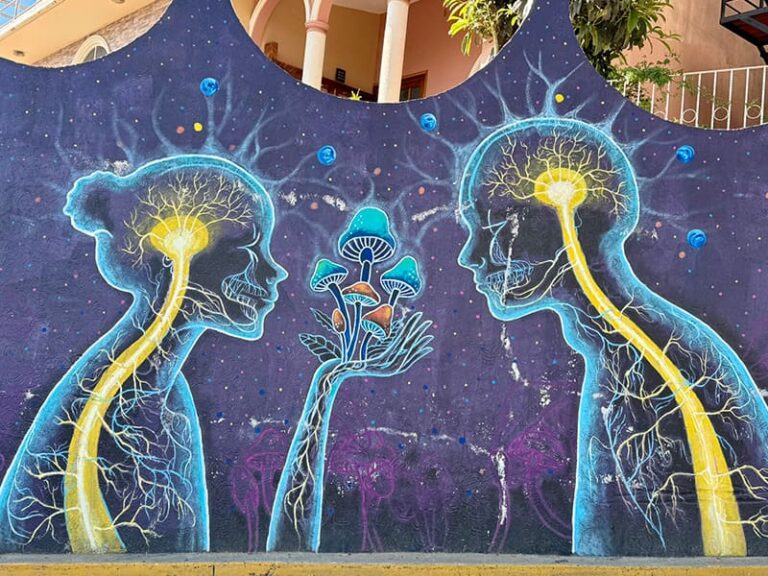 Découvrez le village de San Jose dans la région de Oaxaca au Mexique.