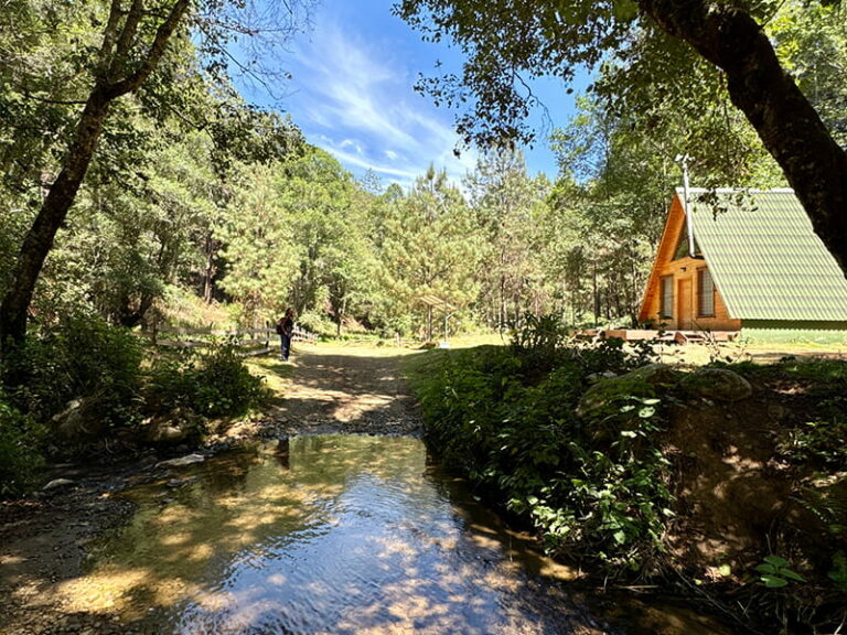 Joli paysage lors de la randonnée entre San José et l'autre petit village de montagne dans la région de Oaxaca.