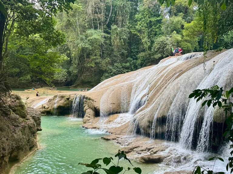 Visiter le Chiapas et découvrez les magnifiques bassins et cascades de Roberto Barrios.