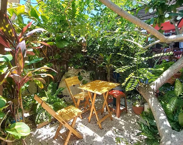 Le petit jardin de notre hébergement à Cozumel lors de notre roadtrip dans le Yucatan.