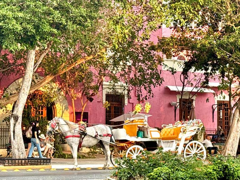 Des moyens de transport à l'ancienne à Merida dans le Yucatan.